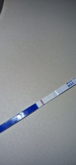 Cd1 of ttc first cycle after loss... anyone want to join me? 🙂