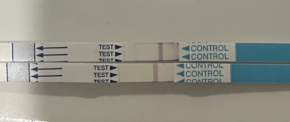 Clear blue test. Evap line or positive