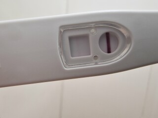 Am I Pregnant?