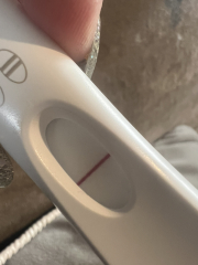 Period due today, still testing negative..