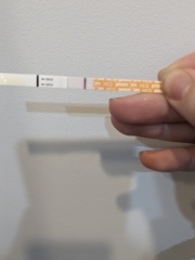 Anyone else in the TTW and like some company