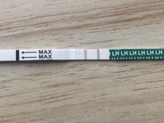 BBT / LH chart