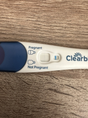 4 Weeks 2/3 days. Faint Tests