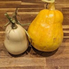 The Vegetable Patch Mark 2