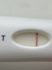 Wondfo- do they give false BFPs or smudges?