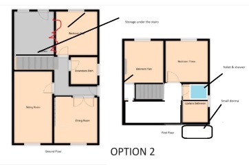 Renovation Advice please