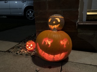 Show my your pumpkins