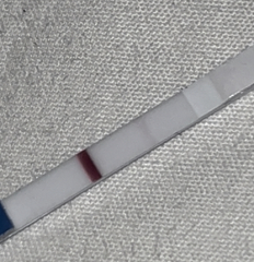 15 dpo faint line?