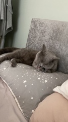 Thread 10 - TalkLair: “The candle flame gutters. Its little pool of light trembles.”