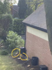 Neighbours chopped down their own trees but