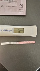 Positive test 11 days after miscarriage