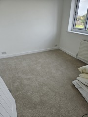 Let me see your light coloured carpets (please!)