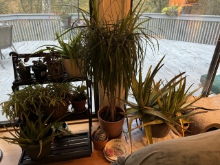 Come and tell me your dull and unexciting news 27: Calmly through the day