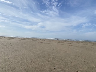 Come and tell me your dull and unexciting news 26: Calmly through the day 