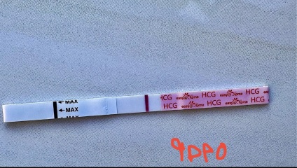 10dpo False positive on easy@home.