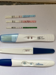 Pregnancy after miscarriage - worrying about line progression