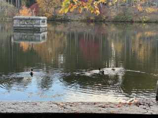 Come and tell me your dull and unexciting news 27: Calmly through the day