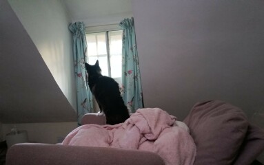 Cancer support thread 90 - still the best threads no one wants to be on