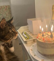 Cancer support thread 90 - still the best threads no one wants to be on