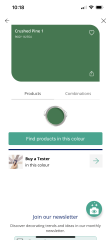 Which paint colour is this?