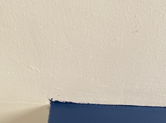 Not getting house from council -would you be sad about it?