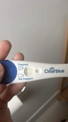 Clear blue test. Evap line or positive