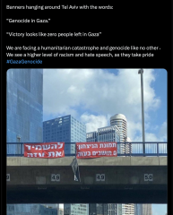 If you are anti-Zionist, what do you think Israel should do?
