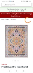 Boring but which rug?