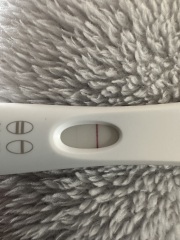 First Response vvfl? 