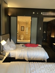 Does anyone like those semi-outdoor, tropical, hotel bathrooms?