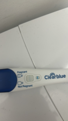 Geriatric gang 🤰part 2 