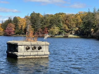 Come and tell me your dull and unexciting news 27: Calmly through the day