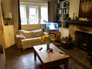 Curtains to go in living room with yellow walls