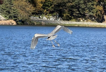 Come and tell me your dull and unexciting news 27: Calmly through the day