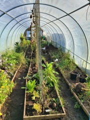 Any Witches Here?- Part 19