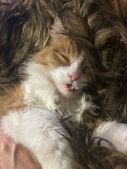 How to tell it’s getting cold…