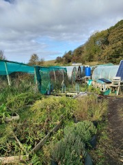 Any Witches Here?- Part 19