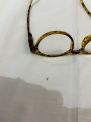 Help- Is this a bedbug?