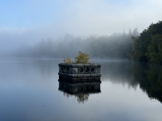 Come and tell me your dull and unexciting news 26: Calmly through the day 