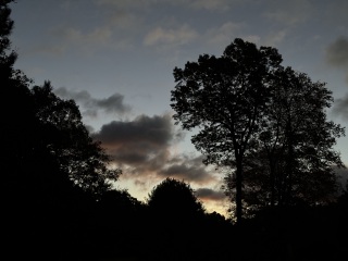 Come and tell me your dull and unexciting news 27: Calmly through the day