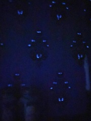 Talk to me about under-stair loo decor