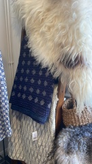 Toasties hoping for a sale while sailing into Christmas