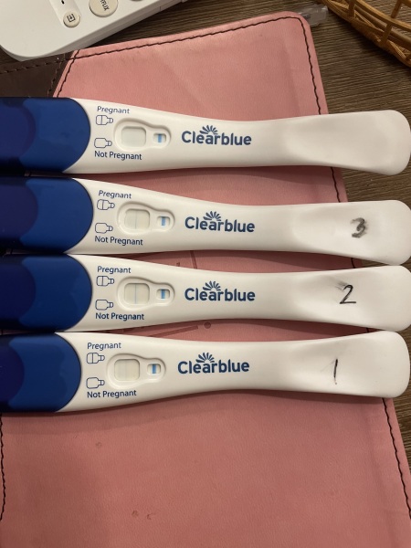 Clear blue test. Evap line or positive