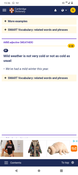 Please settle an argument between me and DP..... what does 'mild' mean?