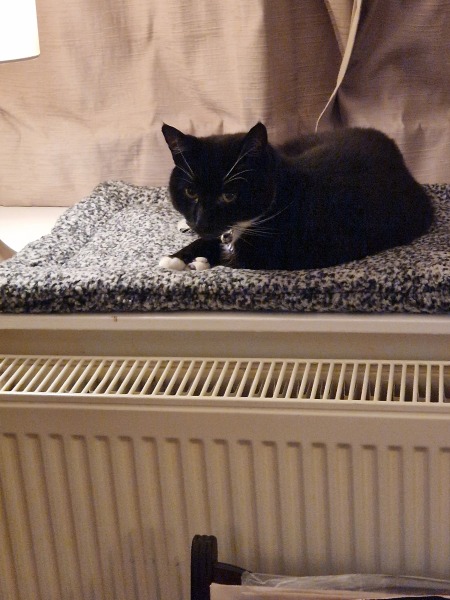 In this horrible weather, how are you making your home feel cosy today?