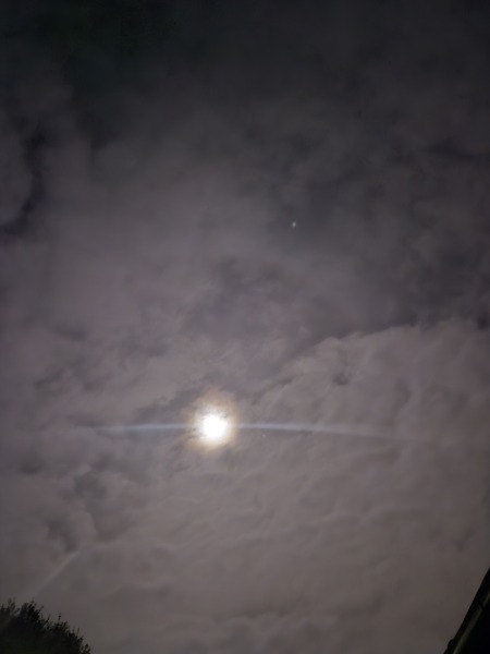 The Moon just now (pic)