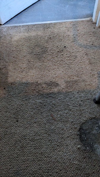 Come and tell me your dull and unexciting news 27: Calmly through the day