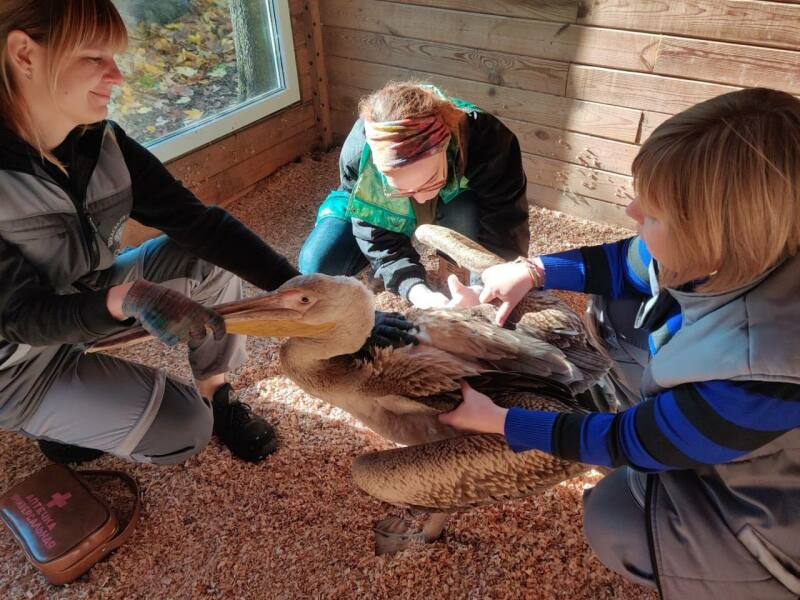 Ukraine Invasion: Part 45