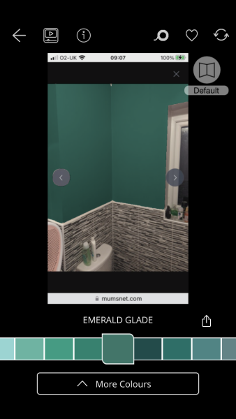 What colour for bathroom? Pics included
