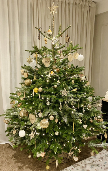 The ultimate SHOW US YOUR TREE megathread!